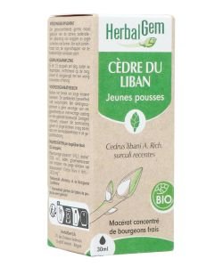 Cedar (Cedrus libani) bud BIO, 30 ml